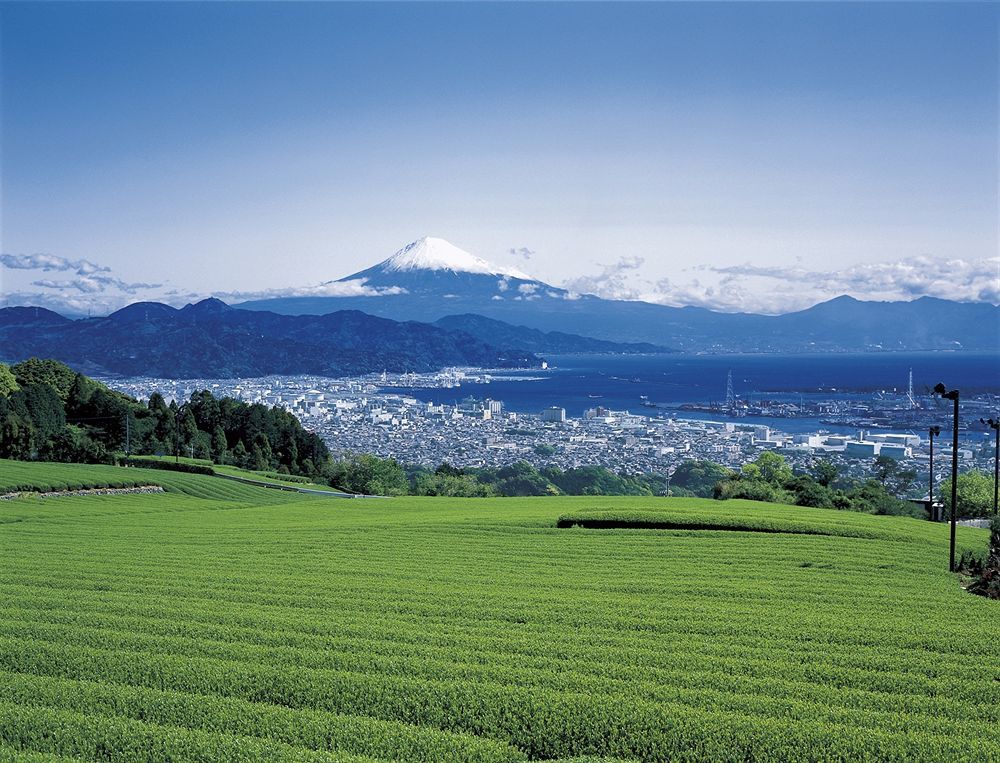 Shizuoka Kita Washington Hotel Plaza ภายนอก รูปภาพ